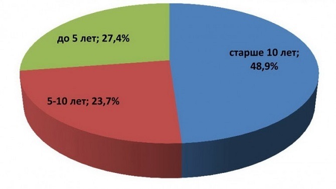 Возрастная структура парка PC.jpg Возрастная структура парка PC.jpg