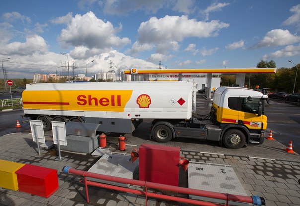 shell.jpg