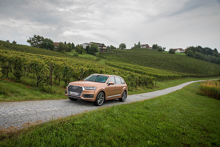 Игорь Моржаретто: Audi, Австрия… Ich liebe dich!