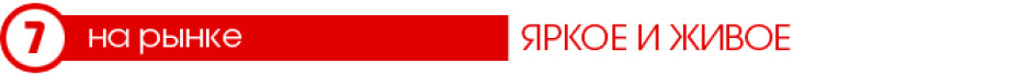 Тест-Драйв 7D: KIA Soul