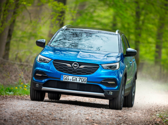 Игорь Моржаретто: Opel Grandland X - проба пера