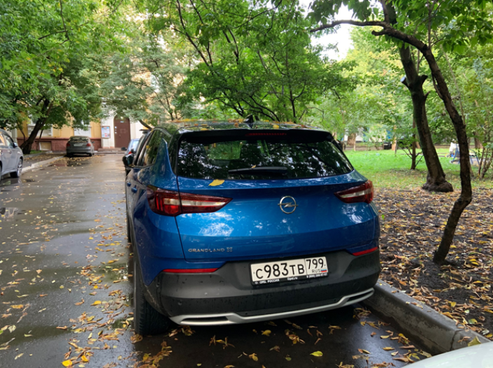 Сергей Целиков: Opel Grandland X – дорогое удовольствие