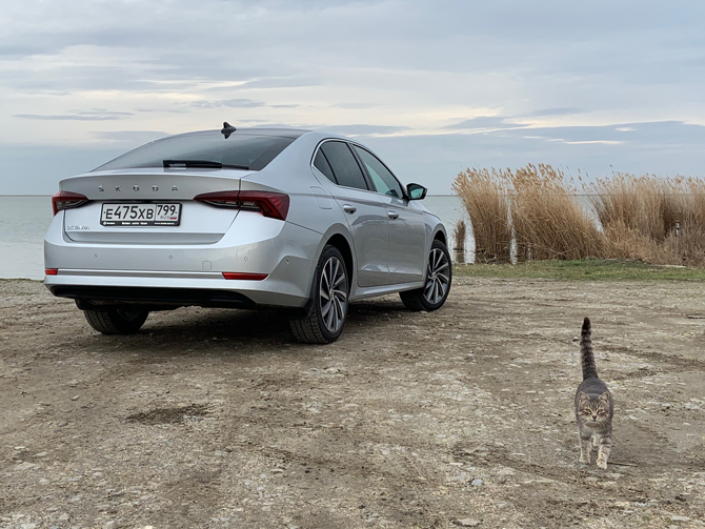 Сергей Целиков: новая Skoda Octavia - элегантное движение в премиальную сторону