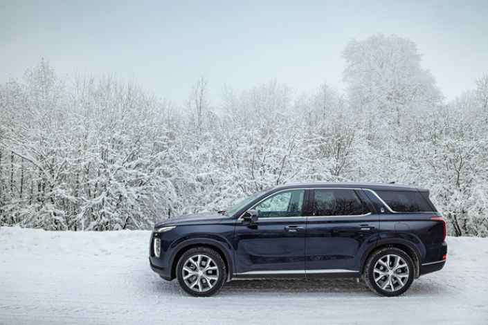 Тест-Драйв 7D: Hyundai Palisade