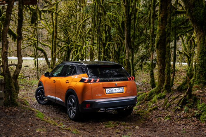 Тест-Драйв 7D: Peugeot 2008