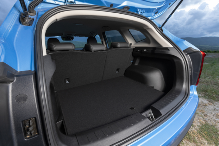 Игорь Моржаретто: Haval Jolion - веселый лев